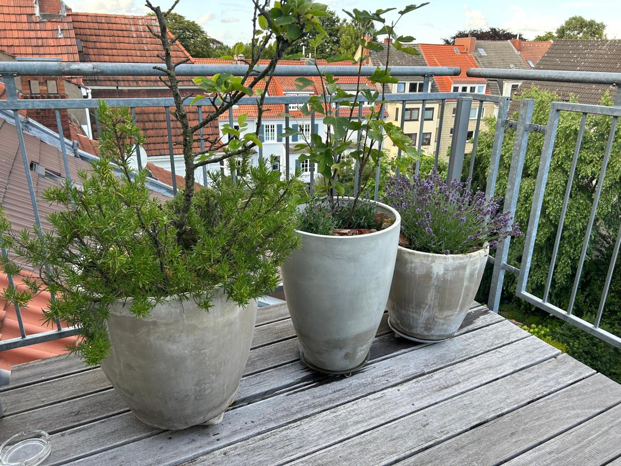 Dachstudio Im Geteviertel - Citynah Apartment *